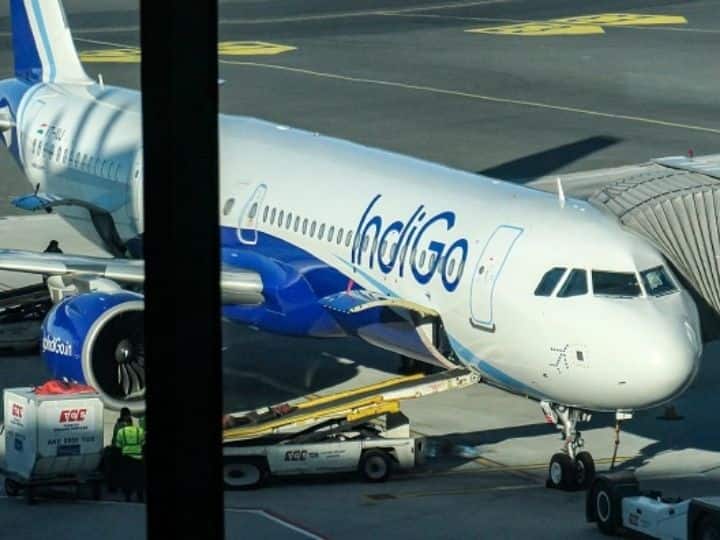 IndiGo Q3 Results: Airline Back In The Black, Logs Net Profit Of Rs 130 Crore IndiGo Q3 Results: Airline Back In The Black, Logs Net Profit Of Rs 130 Crore