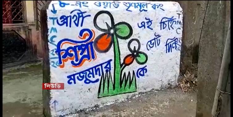 Birbhum Suri TMC and BJP both uncomfortable as wall graffiti appears before Candidate list Suri News:  প্রার্থীর নাম ঘোষণার আগেই দেওয়াল লিখন, অতি উৎসাহীদের আচরণে অস্বস্তিতে তৃণমূল-বিজেপি