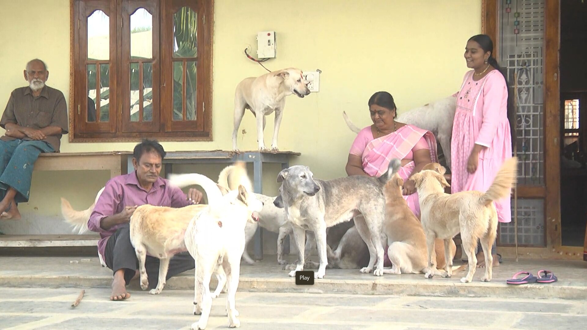 Mahabubabad: వీధి శునకాలే ఆ కుటుంబానికి నేస్తాలు, 100పైగా స్ట్రీట్ డాగ్స్ ను పెంచుతున్న ఫ్యామిలీ