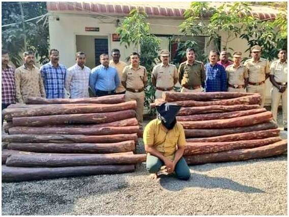 Trending: आखिर पुलिस के सामने झुक ही गया 'पुष्पा', लाल चंदन की तस्करी पड़ी भारी Trending: आखिर पुलिस के सामने झुक ही गया 'पुष्पा', लाल चंदन की तस्करी पड़ी भारी