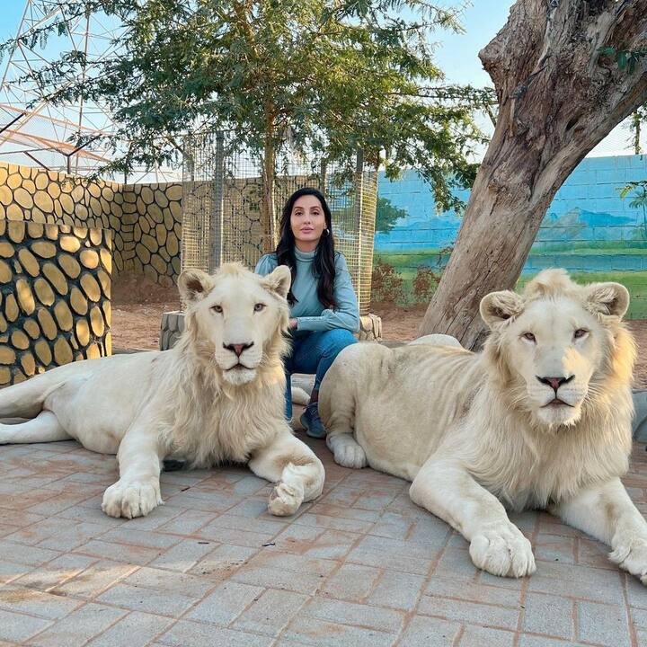 या वेळी तिने सगळ्यांना इम्प्रेस केलंय ते तिच्या नव्या फोटोमुळे.. (Photo Credit: Nora Fatehi Instagram) (Photo Credit: Nora Fatehi Instagram)