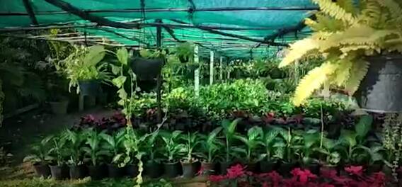 Karimnagar: కరోనా తరువాత కరీంనగర్ లో హోం గార్డెనింగ్ పై పెరిగిన ఆసక్తి. | ABP Desam