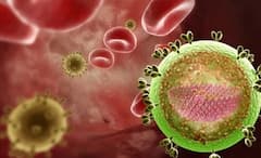 New HIV Strain: করোনার মাঝেই নতুন বিপর্যয়, এইচআইভি'র নতুন সংক্রমক প্রজাতি ছড়াচ্ছে ইউরোপে