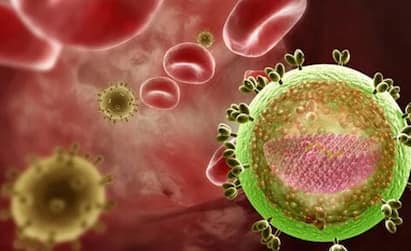 New HIV Strain Highly Virulent mutated HIV Variant found circulating in Europe New HIV Strain: করোনার মাঝেই নতুন বিপর্যয়, এইচআইভির নতুন সংক্রমক প্রজাতি ছড়াচ্ছে ইউরোপে