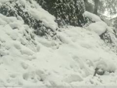 Snowfall in Himachal: बर्फ की मोटी परत से ढकी हिमाचल की जाखू पहाड़ी, सर्द हवाओं से सिकुड़े मैदान, देखें तस्वीर