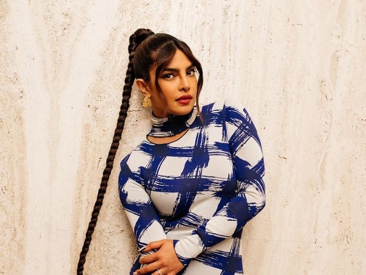 Trending news: When Priyanka Chopra shared such a picture in a long braid,  users made funny comments - Hindustan News Hub
