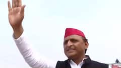 Akhilesh Yadav's wife Dimple Yadav offers prayers at Maa Vindhyavasini Temple in Mirzapur