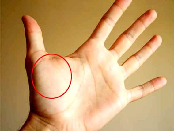Palmistry: हथेली पर शुक्र पर्वत देता है ये संकेत, जानें ये निशान हो तो कैसा जीवन जीता है व्यक्ति Palmistry: हथेली पर शुक्र पर्वत देता है ये संकेत, जानें ये निशान हो तो कैसा जीवन जीता है व्यक्ति