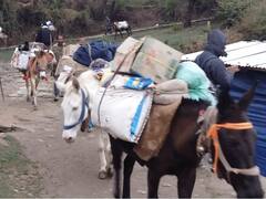 Uttarakhand Election 2022: बागेश्वर जिले के इन गांवों में मूलभूत सुविधाओं का अभाव, जानिए- क्या कहते हैं ग्रामीण?