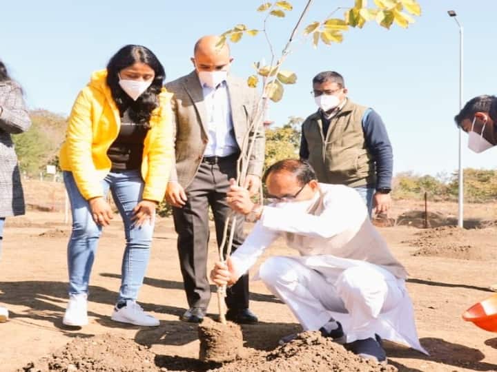 Madhya Pradesh CM Shivraj Singh Chouhan took pledge to plant saplings every day last year so far 400 saplings have been planted ANN Madhya Pradesh News: सीएम शिवराज सिंह चौहान ने पिछले साल लिया था रोज पौधरोपण का संकल्प, लगा चुके हैं अब तक 400 पौधे