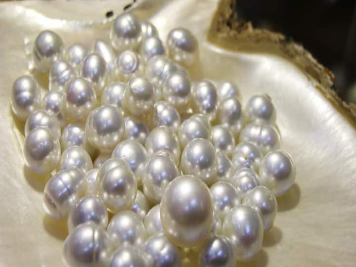 Know how to wear pearl and benefit of it check details Astro: આ રત્નને ધારણ કરવાથી ડિપ્રેશનથી મળે છે મુક્તિ, આ રાશિના જાતકો માટે છે ફળદાયી