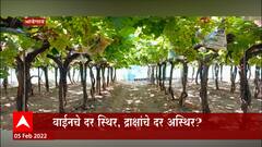 Pune : शेतकऱ्याला द्राक्षाला प्रतिकिलो 45 रूपये खर्च ,वाईनचे दर स्थिर द्राक्षांचे दर अस्थिर