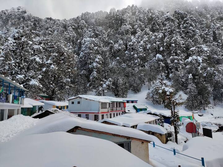 मिनी स्वीटजरलैंड के रूप में प्रसिद्ध पर्यटक स्थल चोपता पूरी तरह बर्फ से ढक चुका है. चोपता में छः फीट तक बर्फ जमी है. स्थिति यह है कि बर्फ के बीच चोपता-बद्रीनाथ हाईवे का कुछ पता नहीं है. हाईवे के बर्फ में ढकने से कई वाहन भी चोपता में ही फंस गए हैं. होटल व लॉज की छतों में भी बर्फ की मोटी चादर बिछी है.