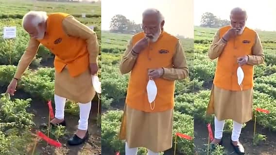 చిన్నరైతులే మన వ్యవసాయంలో కీలకం...వాళ్లను కాపాడుకుందాం