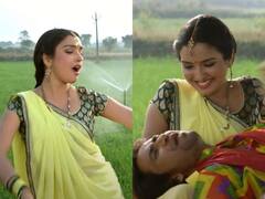 Bhojpuri Gana: पीली साड़ी पहन Aamrapali Dubey ने खेत में लगाए ठुमके, वीडियो में Nirahua संग करती दिखीं रोमांस