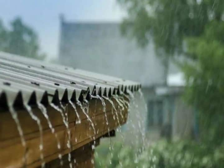 Bihar: Chances of rain and hailstorm even today, people of these districts including Katihar, Araria should be careful Bihar Weather Update: आज भी बारिश और ओलावृष्टि की संभावना, कटिहार, अररिया समेत इन जिलों के लोग रहें सावधान