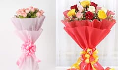 Amazon Deal: रोज डे पर इन ब्यूटीफुल बुके से करें अपने प्यार का इजहार, 500 रुपये से कम में होगी होम डिलीवरी