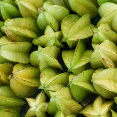 Benefits of Starfruit : হৃদরোগের সম্ভাবনা কমানো থেকে ওজন ঝরানো, আর কী কাজে লাগে কামরাঙা ?