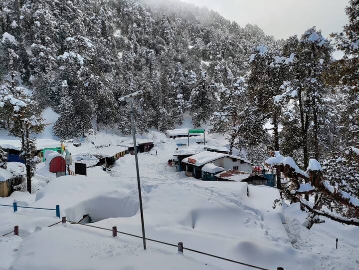 बता दें कि फरवरी महीने में जमकर बर्फबारी हो रही है. बर्फबारी के कारण आम जन जीवन भी खासा प्रभावित हो गया है. मिनी स्वीटजरलैंड चोपता की बात करें तो यहां सिर्फ और सिर्फ बर्फ है. चोपता के हरे-भरे पेड़ भी बर्फ के कारण सफेद नजर आ रहे हैं.