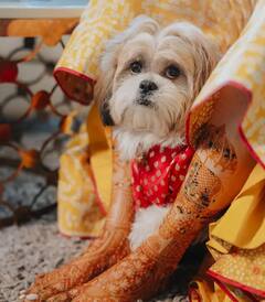 ਬੁਆਏਫ੍ਰੈਂਡ Varun Bangera ਨੂੰ ਨਹੀਂ ਇਸ ਨੂੰ ਆਪਣੀ ਜ਼ਿੰਦਗੀ ਮੰਨਦੀ karishma Tanna, ਸ਼ੇਅਰ ਕੀਤੀਆਂ ਖੂਬਸੂਰਤ ਤਸਵੀਰਾਂ