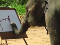 Trending: परफेक्ट तरीके से हाथी ने बनाई अपनी पेंटिंग, आपको हैरान कर देगी ये वायरल वीडियो