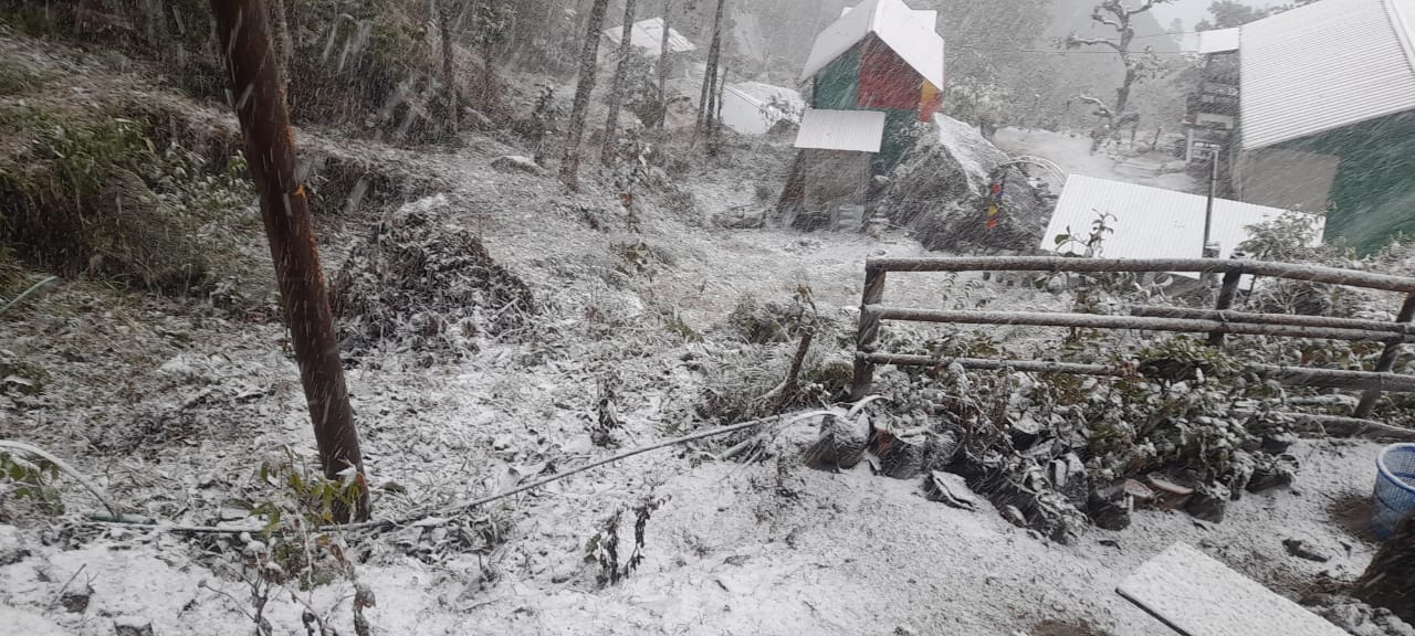 Darjeeling Snowfall : তুষার চাদর মুড়ি দিয়েছে দার্জিলিং-কার্শিয়ং, বাড়ছে পর্যটকের ভিড়