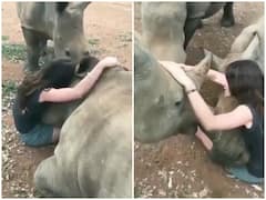 Watch: गैंडे को गले लगाती लड़की का वीडियो वायरल, ऐसी अनोखी दोस्ती नहीं देखी होगी आपने!