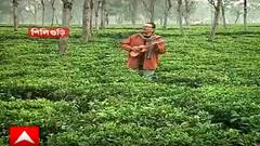 Municipal Election 2022: সুরজিতের সঙ্গে শিলিগুড়ির সাত-সতেরো দেখুন ‘আপনার পাড়ায় তারকা’-তে | Bangla News