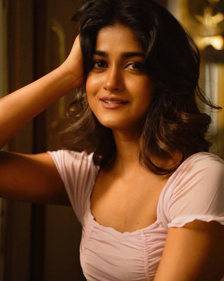 డింపుల్ హయాతి (image credit : Dimple Hayathi /Instagram)
