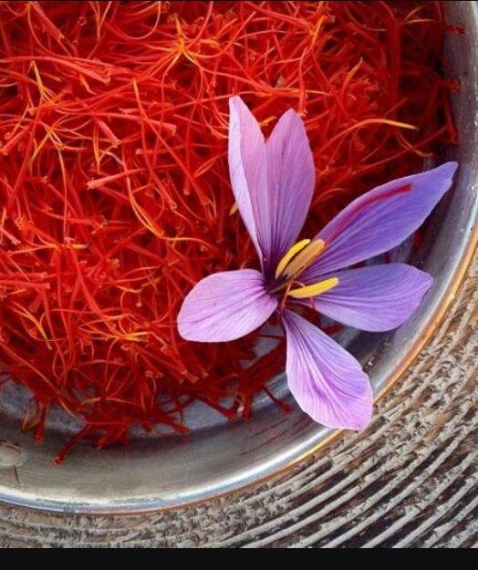 astrology remedies saffron upay to shine your luck try these kesar remedies Kesar Remedies: केसर का इन उपायों को करने से खुल जाती है किस्मत, कोई एक उपाय भी करना है बहुत कारगार