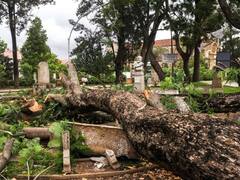 Madagascar Cyclone : मादागास्करमध्ये चक्रीवादळाचा कहर; 10 जण ठार, 48 हजार नागरिक बेघर