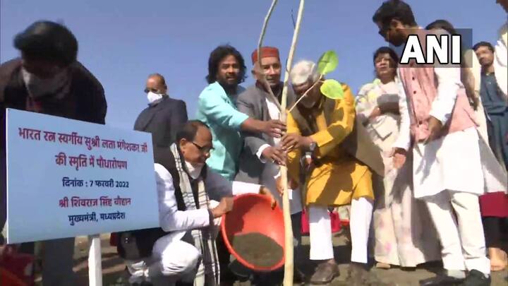 मध्य प्रदेश के मुख्यमंत्री शिवराज सिंह चौहान ने भारत की मशहूर गायिका लता मंगेशकर के निधन के बाद उनकी याद में स्मार्ट सिटी पार्क में पौधे लगाए.