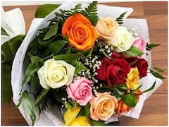 Valentine's Day Special: जानिए रंग-बिरंगे गुलाब का क्या है महत्व, हर रंग का क्या है मीनिंग