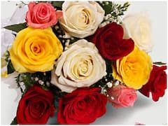 Valentine's Week: गुलाब सा महकेगा आपका प्यार, Rose Day पर इन शायरी से करें इजहार-ए-इश्क