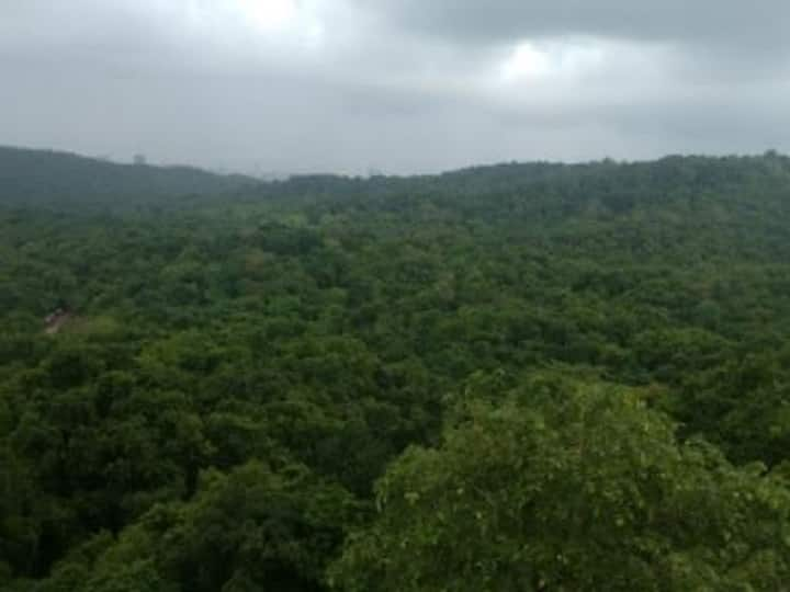 Aarey Carshed Protest in Aarey car shed case Elgar of Vanchit Bahujan Aghadi along with environmentalists Aarey Carshed Protest : आरे कारशेडप्रकरणी आंदोलन, पर्यावरणप्रेमींसह वंचित बहुजन आघाडीचा एल्गार