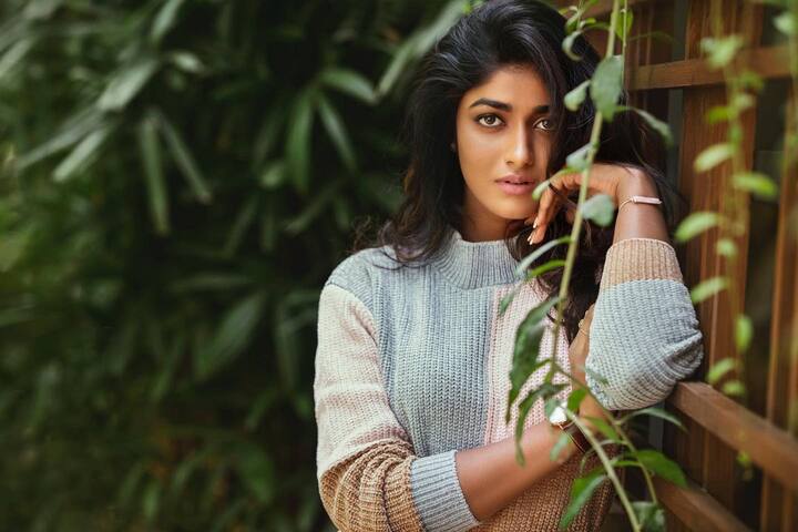 డింపుల్ హయాతి (image credit : Dimple Hayathi /Instagram)