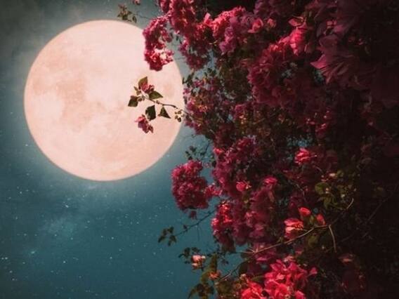 Magh Purnima 2022: माघ पूर्णिमा के दिन इस खास संयोग में कर लें ये उपाय, धन संबंधी सभी समस्याओं से मिलेगा छुटकारा Magh Purnima 2022: माघ पूर्णिमा के दिन इस खास संयोग में कर लें ये उपाय, धन संबंधी सभी समस्याओं से मिलेगा छुटकारा
