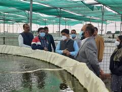 MP News: मछली पालन को लेकर ये नई योजना ला सकती है मध्य प्रदेश सरकार, जानें क्या है तैयारी?