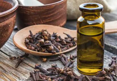 Clove oil increases testosterone levels and libido in men sexual health Male sexual health | விந்தணுக்களின் எண்ணிக்கை அதிகரிப்பு.. ஹார்மோன் அளவு.. கிராம்பு எண்ணெயின் பலன்கள் இதோ..