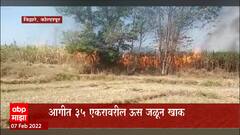Kolhapur Sugarcane: आगीत 35 एकरावरील ऊस जळून खाक, 30 लाखांचं नुकसान ABP Majha