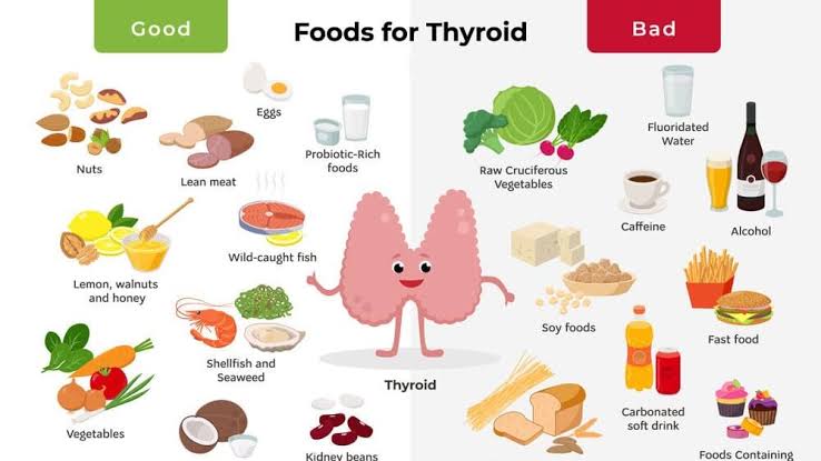 Thyroid: தைராய்டு பாதிப்புகளும் சரி செய்யும் வழியும்....