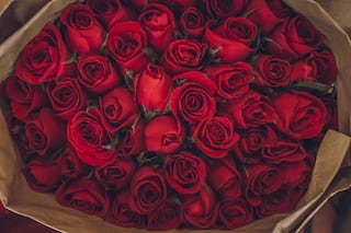 Happy Rose Day 2022: First Day Of Love Week Begins With Gifting Roses. Check Messages To Share