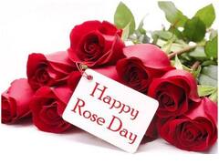 Valentine's Week: गुलाब सा महकेगा आपका प्यार, Rose Day पर इन शायरी से करें इजहार-ए-इश्क