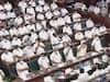 TN Fin Min PTR & Ex-Health Minister Vijaya Bhaskar's Engage In War Of Words Over Legality Of Anti-NEET Bill
