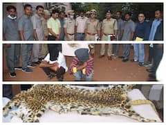 Crime News: గుర్తు తెలియని వ్యక్తితో చిరుతపులి చర్మానికి బేరం, చాకచక్యంగా పట్టుకున్న పోలీసులు