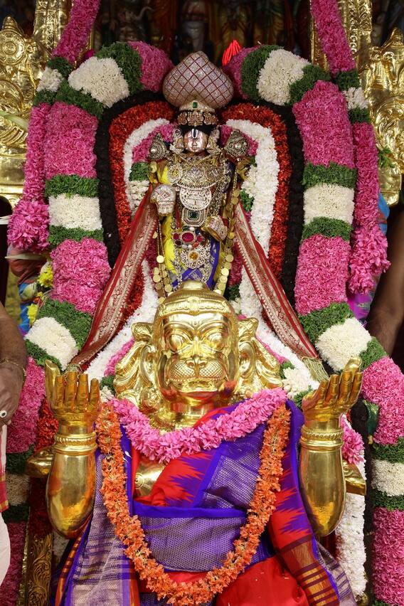 తిరుమలలో  శాస్త్రోక్తంగా  రథసప్తమి వేడుకలు, కోవిడ్ - 19 నిబంధ‌న‌ల మేర‌కు ఆల‌యంలో ఏకాంతంగా  వాహ‌న‌సేవ‌లు