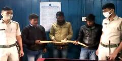 Jalpaiguri: পাচার হওয়ার আগেই উদ্ধার হাতির দাঁত, ৩ জনকে গ্রেফতার বন দফতরের