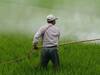 Chhattisgarh Fertilizer Shortage: छत्तीसगढ़ सरकार ने केंद्र पर लगाया रासायनिक उर्वरकों में कटौती का आरोप, कहा- आपूर्ति नहीं हो रही