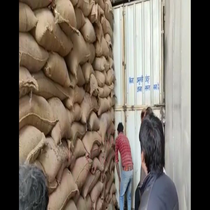 Paddy Scam in MP: मध्य प्रदेश के कटनी में धान खरीद में करोड़ो रुपये का घोटाला उजागर, तीन राइस मिलर्स के खिलाफ FIR दर्ज