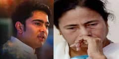 Mamata - Abhishek : বললেন... Somebody! অভিষেকের নামও নিলেন না মমতা